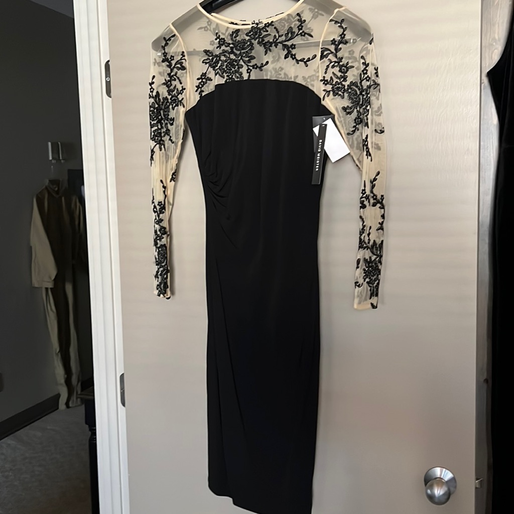 Embroidered Illusion Ruched Dress.